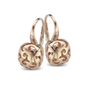 Earrings 20O48R