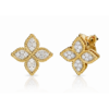 Earrings ADR777EA0639_Y